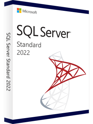 Microsoft SQL Server 2022 Standard 1 Key for 1 PC