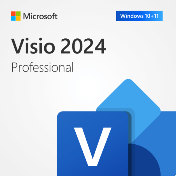 microsoft visio 2024 professional