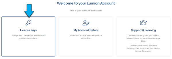 Lumion PRO key for one year - Image 3